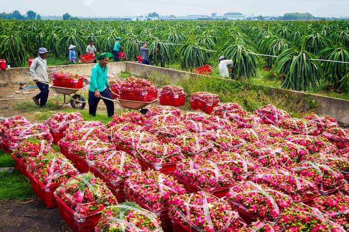 Đồng Nai: Nông nghiệp tăng trưởng ấn tượng, hướng đến hiện đại hóa