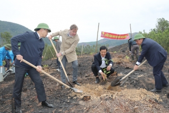 Quảng Ninh quyết tâm phủ xanh đất rừng sau bão