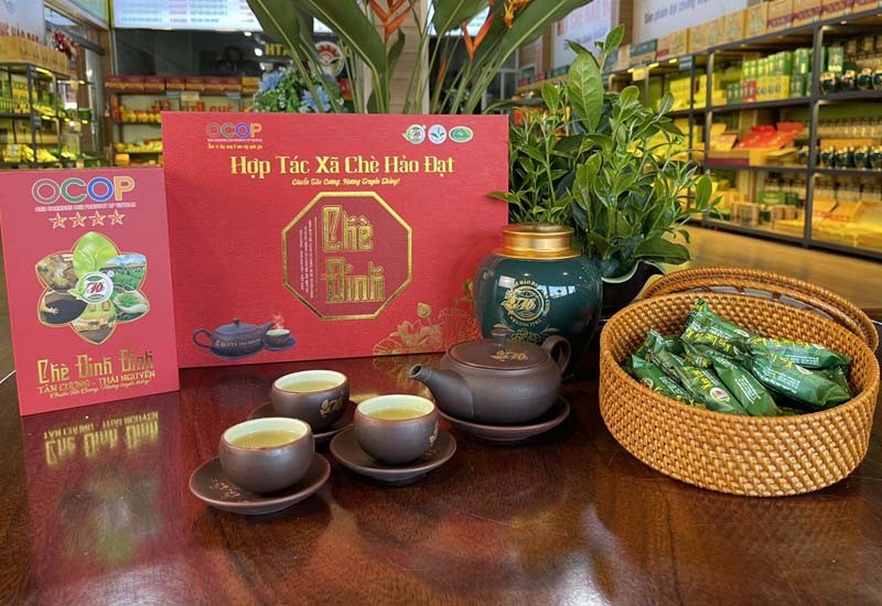 Nâng tầm Chè Tân Cương, lan tỏa hương vị Việt