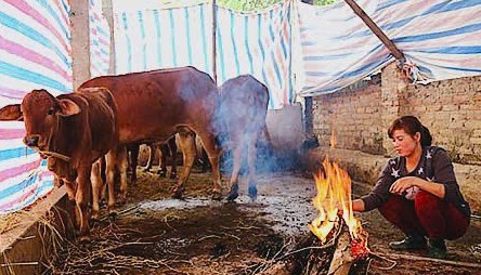 Nghệ An chủ động ứng phó rét đậm, gió mạnh, đảm bảo an toàn cho người dân