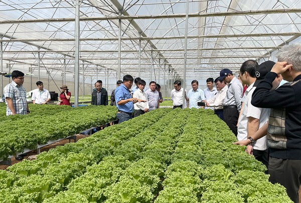 Đồng Nai: Nông nghiệp tăng trưởng ấn tượng, hướng tới hiện đại hóa và chế biến sâu