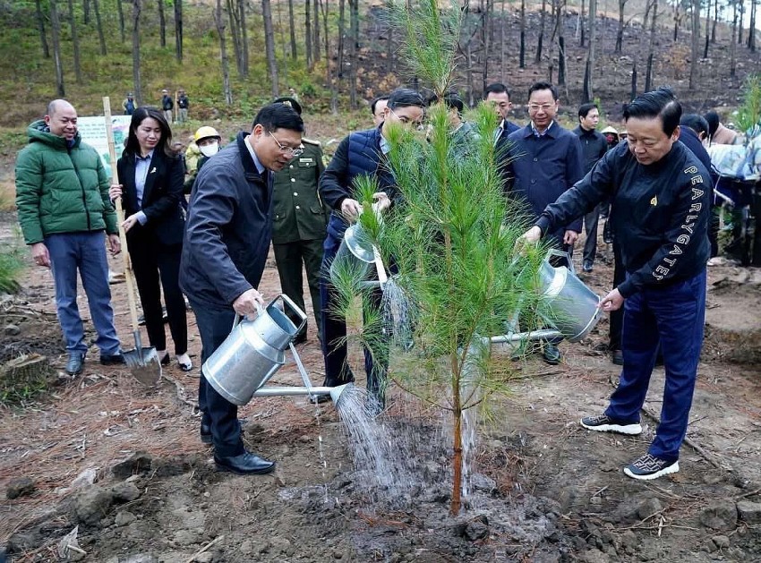 Ông Trần Hồng Hà, Ủy viên Trung ương Đảng, Phó Thủ tướng Chính phủ trồng cây.