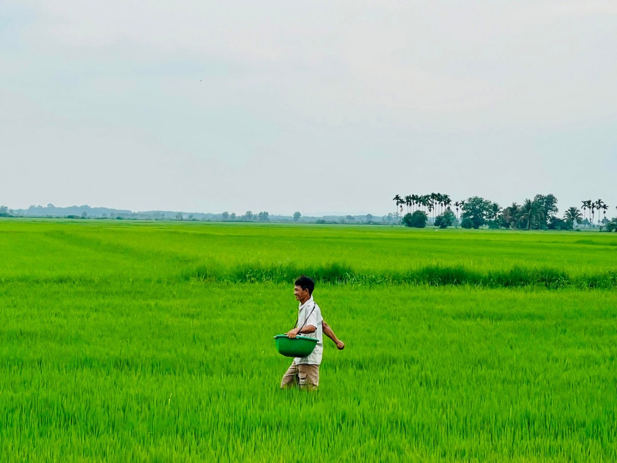 Chủ động khẩn trương bắt tay vào vụ đông xuân