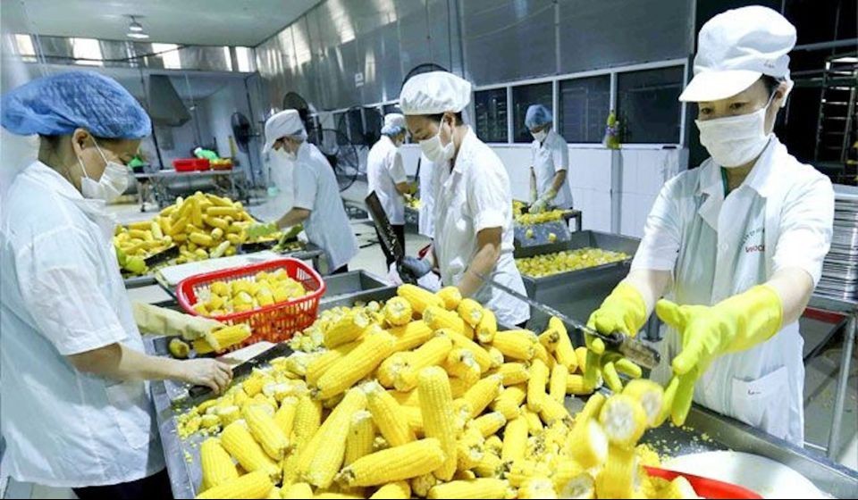 Xuất khẩu nông lâm thủy sản Việt Nam tháng 1/2025: Vẫn còn những điểm sáng