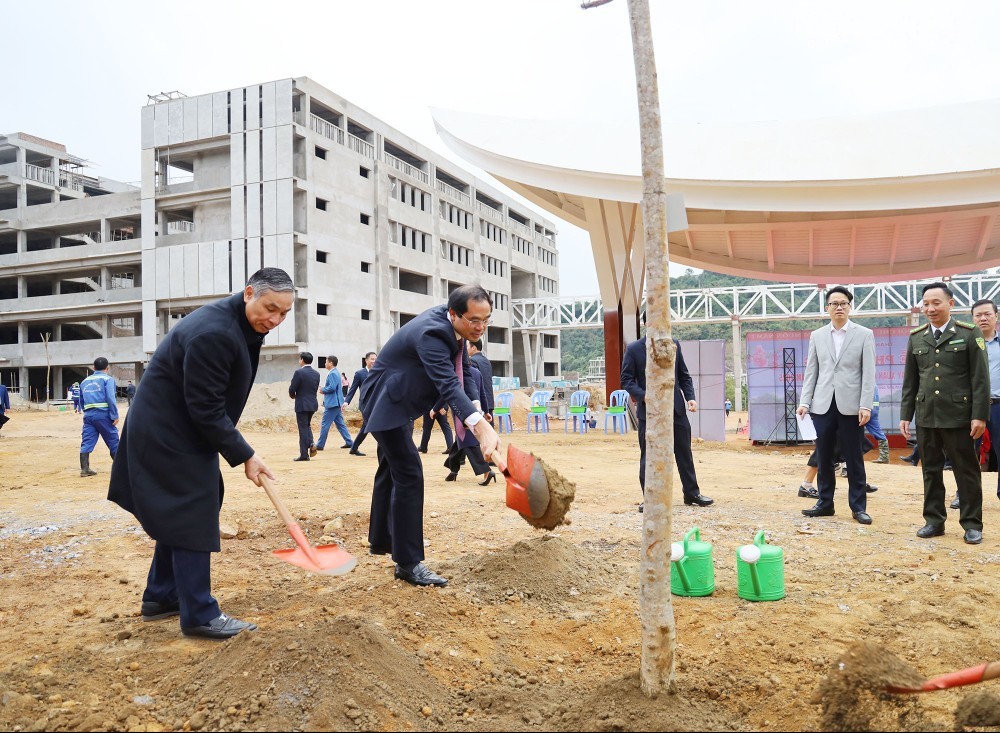 Lào Cai quyết tâm phủ xanh đất trống, đồi núi trọc năm 2025