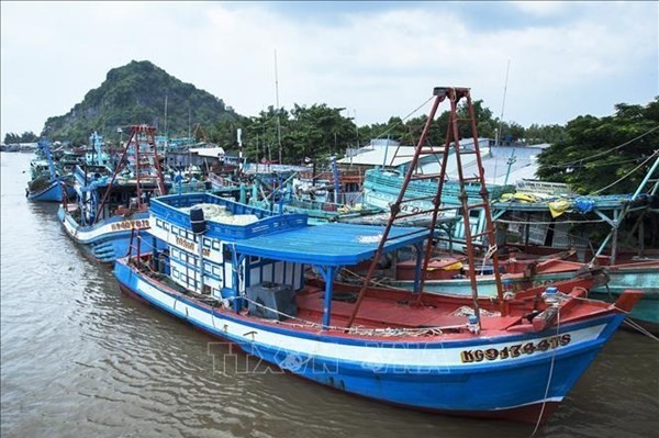 Sóc Trăng siết chặt quản lý, quyết tâm gỡ ‘Thẻ vàng’ IUU