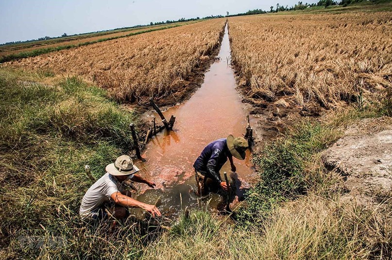 Đối mặt với xâm nhập mặn tăng cao, cảnh báo chủ động ứng phó