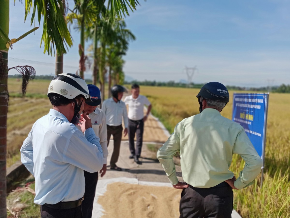 Hành trình từ làng nghề bánh tráng nổi tiếng đến mô hình chăn nuôi hữu cơ