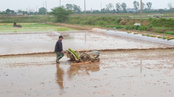 Hà Nội lo thiếu nước sản xuất vụ xuân