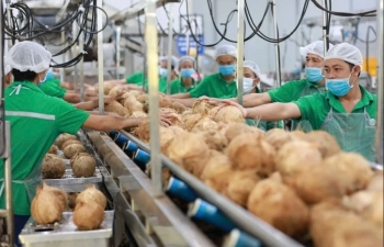 viet nam dung thu 4 ve xuat khau dua tai chau a thai binh duong va thu 5 the gioi