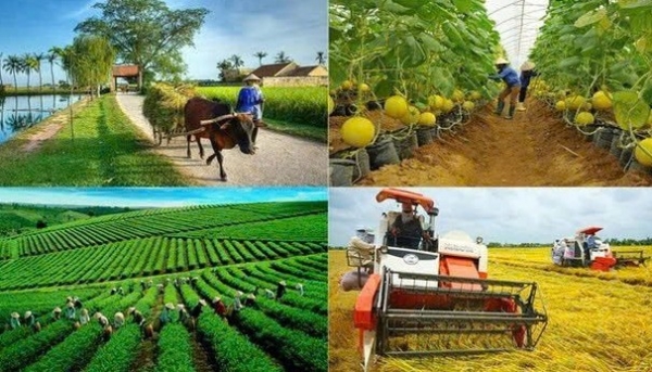 Kon Tum: Tập trung phát triển các hợp tác xã nông nghiệp trong năm 2025