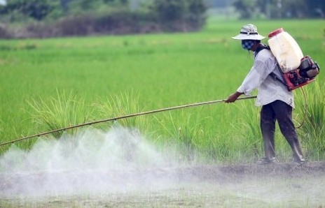 Lạm dụng thuốc trừ sâu hóa học tiềm ẩn những nguy cơ khó lường