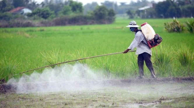 Lạm dụng thuốc trừ sâu hóa học tiềm ẩn những nguy cơ khó lường