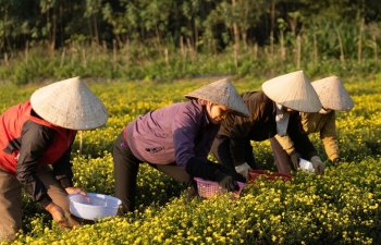 Nông nghiệp hữu cơ: Phát triển canh tác bền vững và bảo vệ môi trường