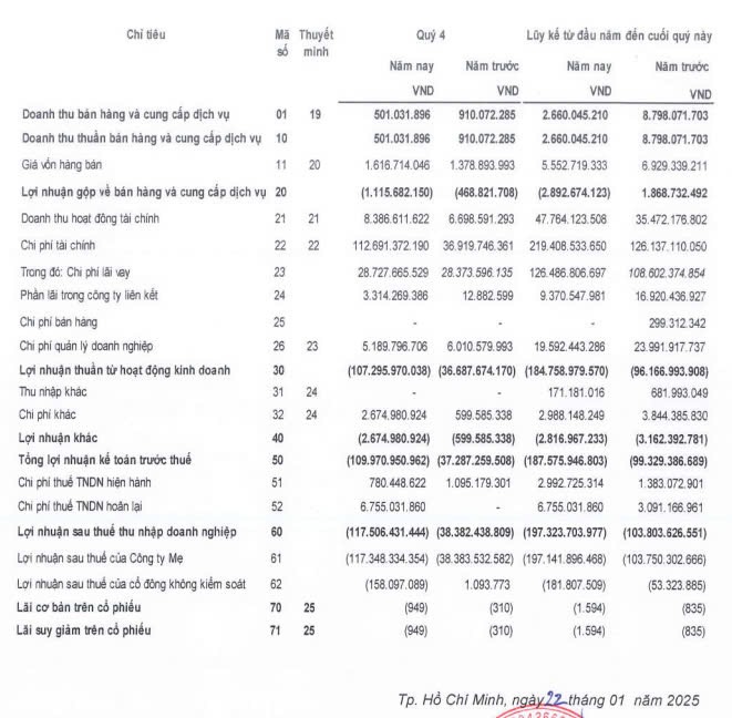 Báo cáo kết quả kinh doanh hợp nhất quý 4/2024 của DRH Holdings