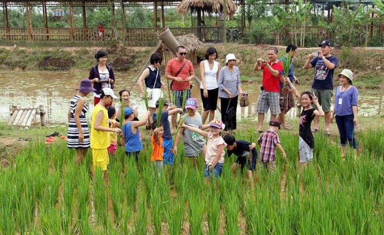 Đắk Lắk: Sản xuất nông nghiệp hữu cơ gắn với du lịch bền vững