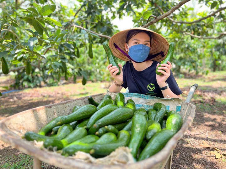 Đắk Lắk: Sản xuất nông nghiệp hữu cơ gắn với du lịch bền vững