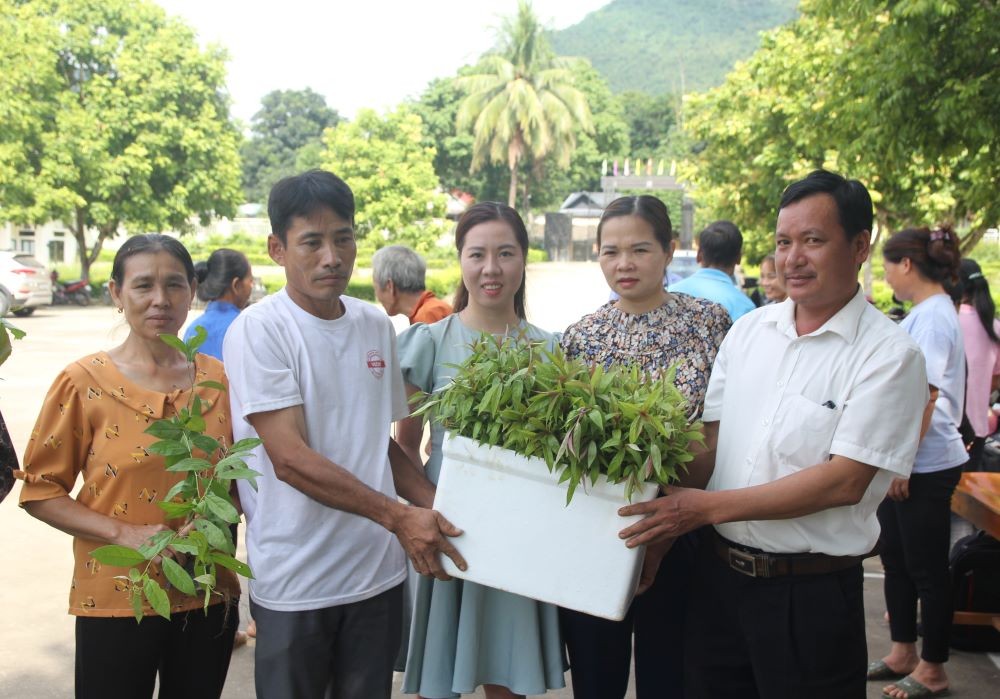 Dược liệu hữu cơ: Lựa chọn an lành cho sức khỏe