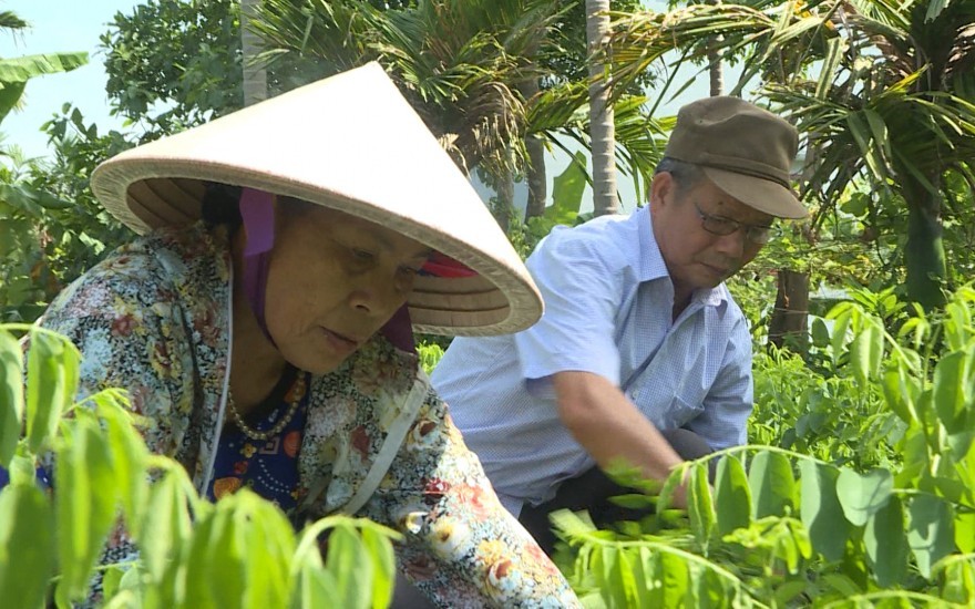 Người cao tuổi xung phong trên mặt trận chuyển đổi số, chuyển đổi xanh