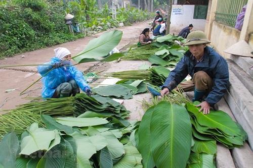 Nhãn hiệu tập thể 