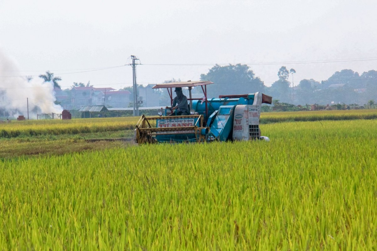 Thanh Miện dẫn đầu cơ giới hóa sản xuất lúa