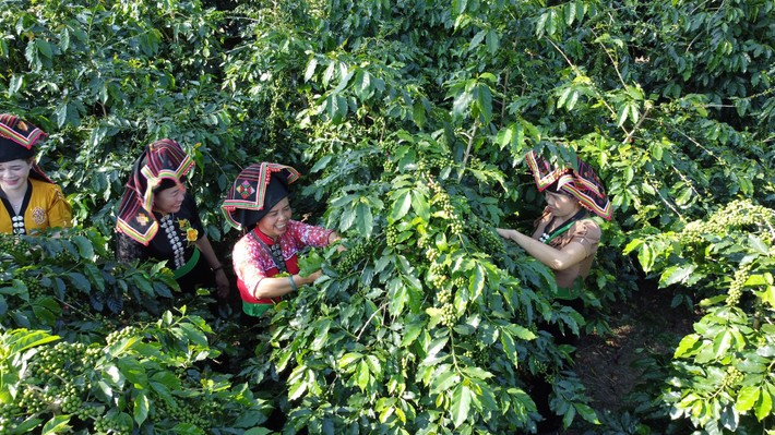 Phát huy lợi thế địa lý vùng nông nghiệp hữu cơ ở Điện Biên