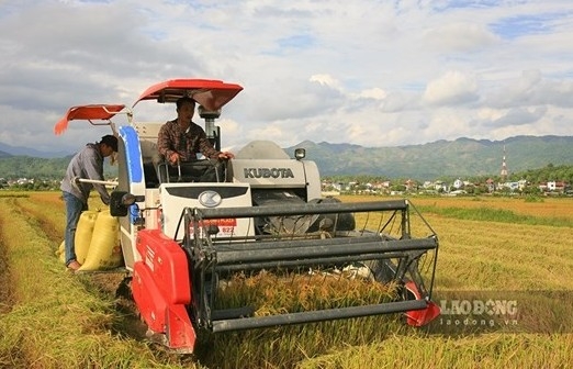 Phát huy lợi thế địa lý vùng nông nghiệp hữu cơ ở Điện Biên