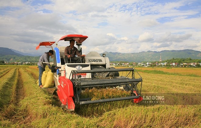 Phát huy lợi thế địa lý vùng nông nghiệp hữu cơ ở Điện Biên