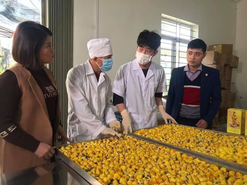 Quy Hoa và tinh túy Trà Hoa Vàng