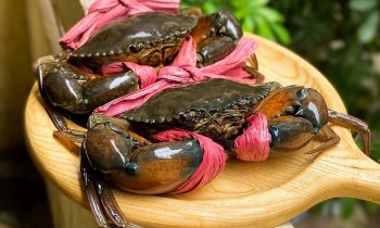 Xuất khẩu cua sang Trung Quốc trong tháng 1 đạt 18,5 triệu USD