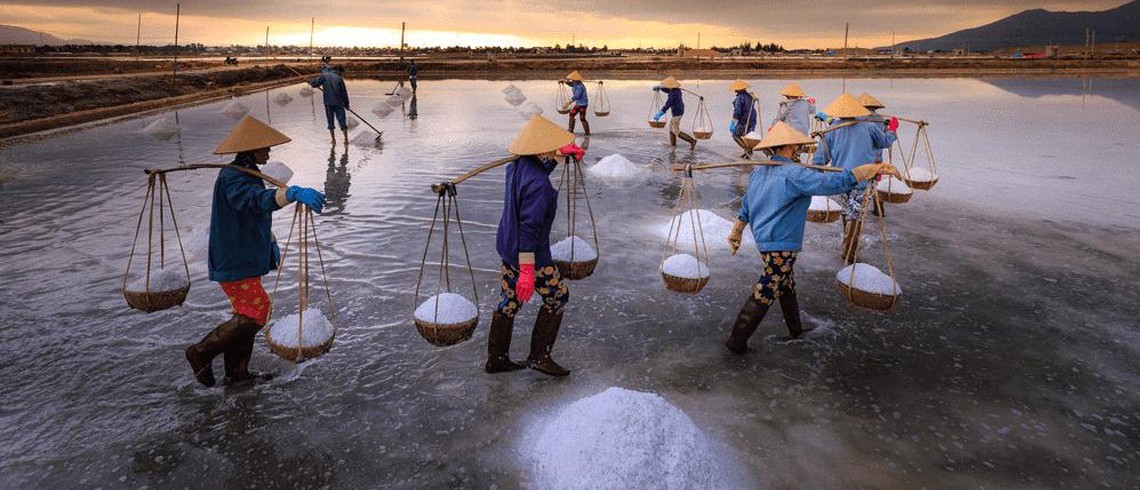 Chính sách hỗ trợ sản xuất muối bị thiệt hại do thiên tai