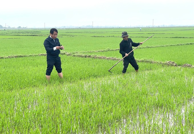 Quảng Trị: Phát triển nông nghiệp hữu cơ và xuất khẩu nông sản