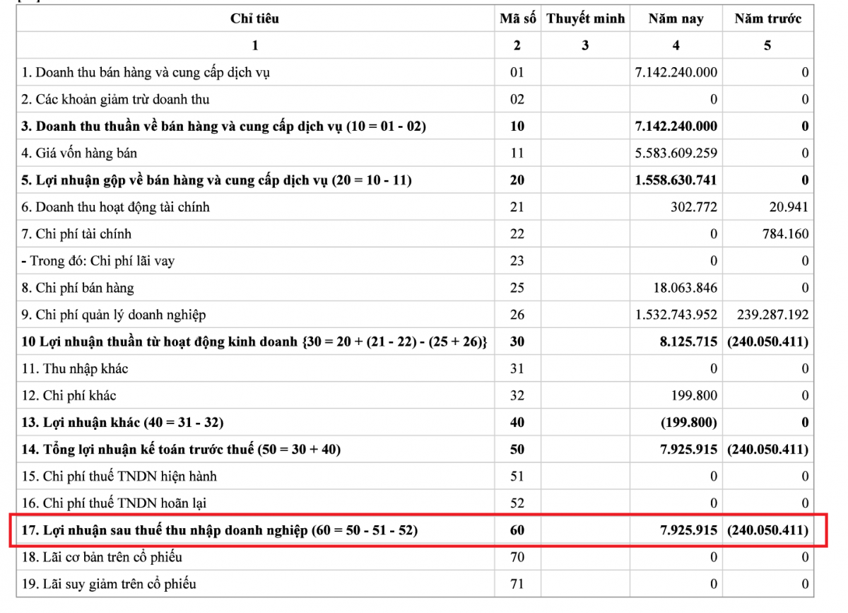 H2Y báo lỗ 240 tỷ đồng trong năm 2022 (Nguồn: Báo cáo tài chính năm 2023 của H2Y).
