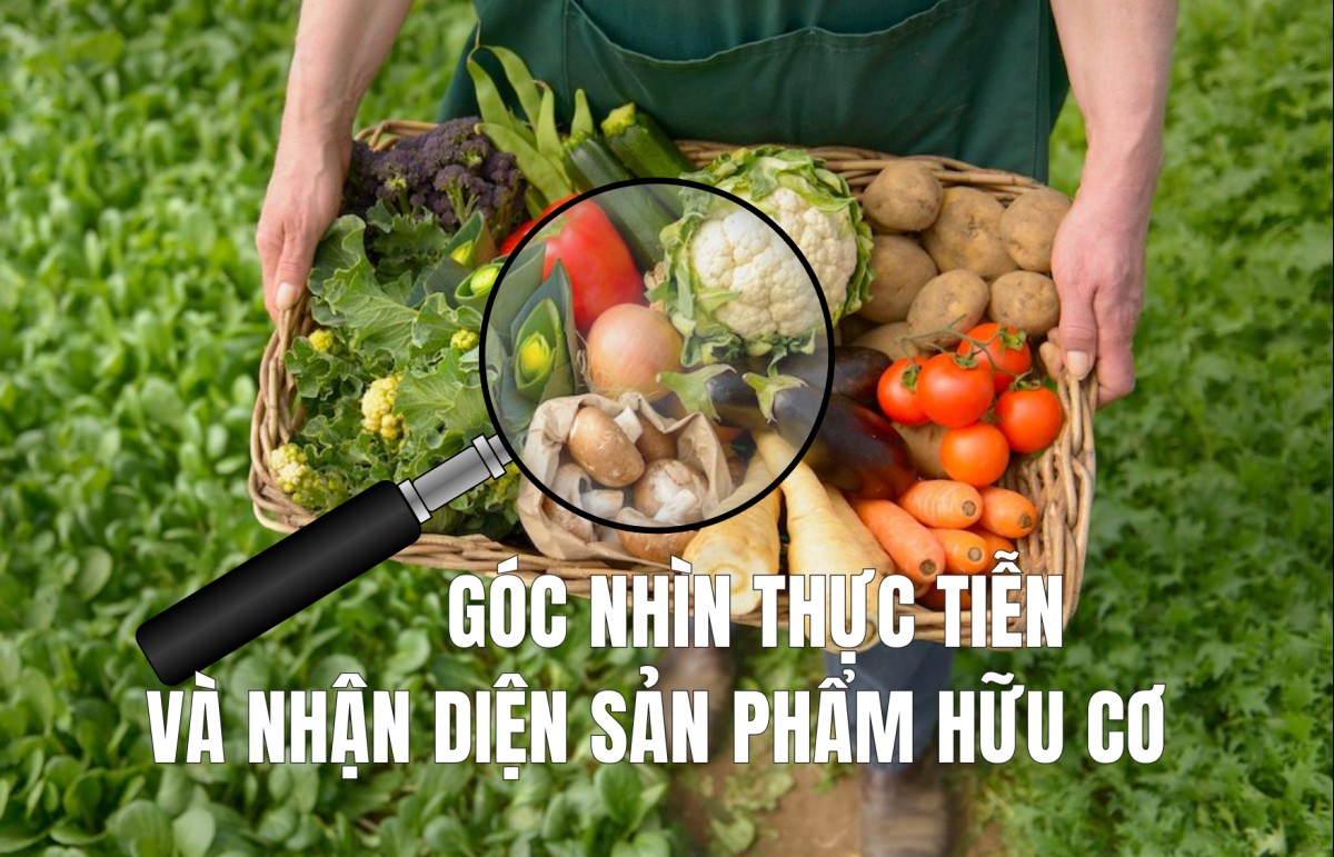 Góc nhìn thực tiễn và nhận diện sản phẩm hữu cơ