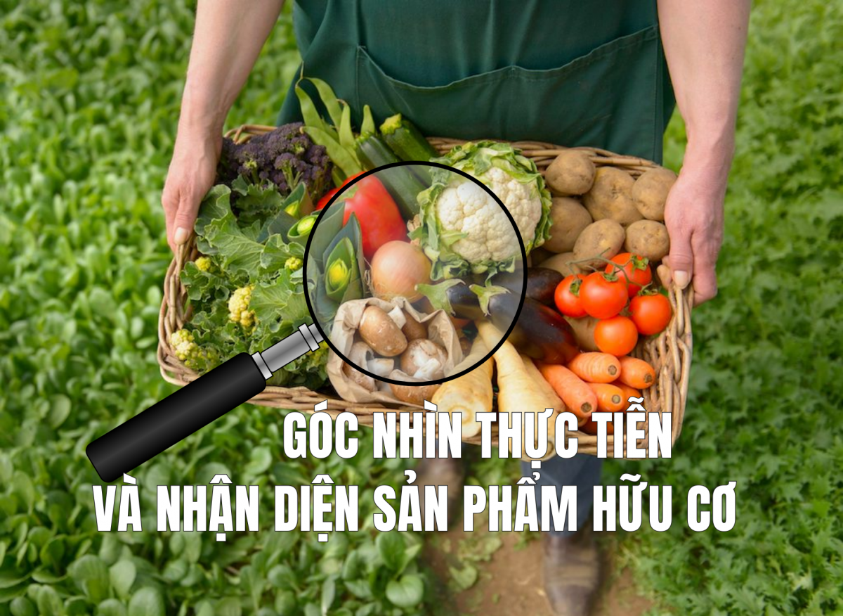 Góc nhìn thực tiễn và nhận diện sản phẩm hữu cơ