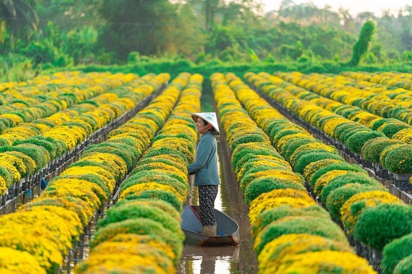 Cao Lãnh: Nông thôn khởi sắc nhờ tái cơ cấu nông nghiệp