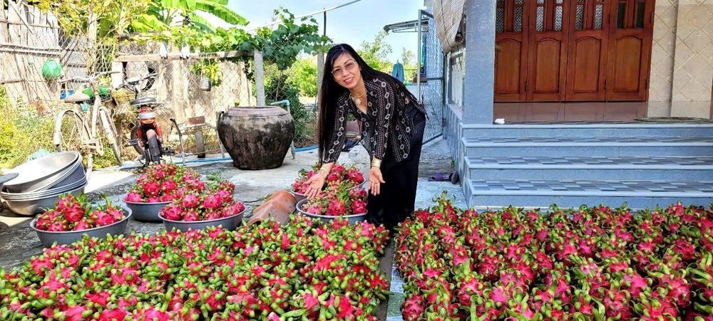 Tiền Giang: Mùa khô, trái cây vẫn bội thu, giá cả biến động