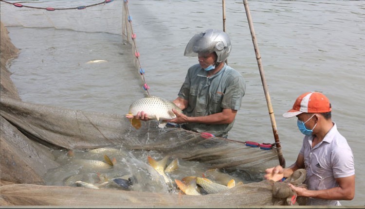 Bắc Ninh: Chủ động chăm sóc thủy sản giai đoạn giao mùa