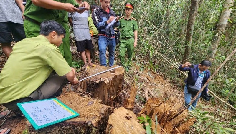 Công an Lâm Đồng: Kịp thời phát hiện, xử lý nghiêm các hành vi vi phạm pháp luật về môi trường