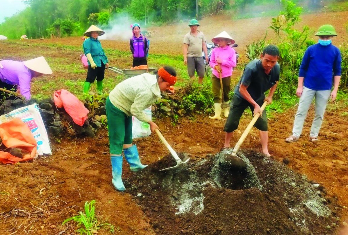 “Trao cần câu, không trao con cá”: Tư duy phát triển bền vững