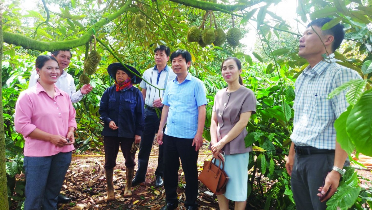 “Trao cần câu, không trao con cá”: Tư duy phát triển bền vững