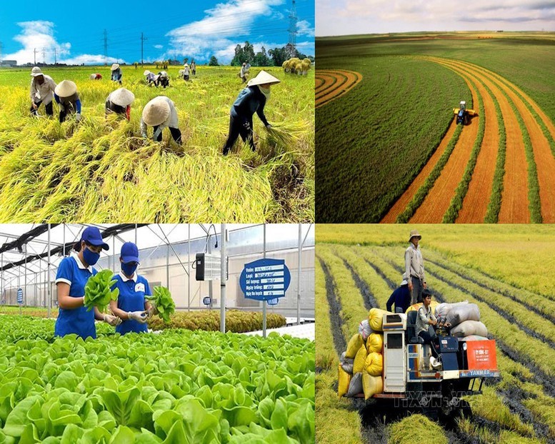 Đóng góp của nông nghiệp vào GDP: Vị trí và tiềm năng