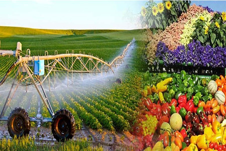 Đóng góp của nông nghiệp vào GDP: Vị trí và tiềm năng