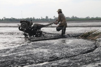 Nông dân Tiền Giang khẩn trương xuống giống vụ lúa xuân hè