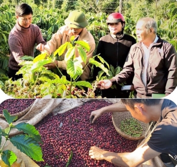 Thăm quan, trải nghiệm quy trình hữu cơ tại vườn cà phê của Công ty Vương Thành Công