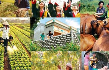 Xóa đói giảm nghèo: Quá trình không ngừng nghỉ vì cộng đồng