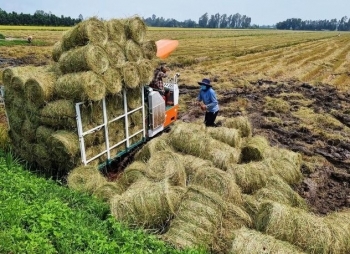 Nông nghiệp tuần hoàn: Hướng đi bền vững cho nhà nông