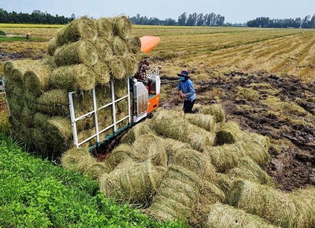 Nông nghiệp tuần hoàn: Hướng đi bền vững cho nhà nông