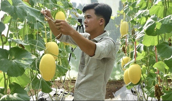 Long Khánh đẩy mạnh phát triển kinh tế tập thể