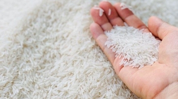 thi truong gao viet nam don nhan dong thai moi tu an do voi tam the chu dong